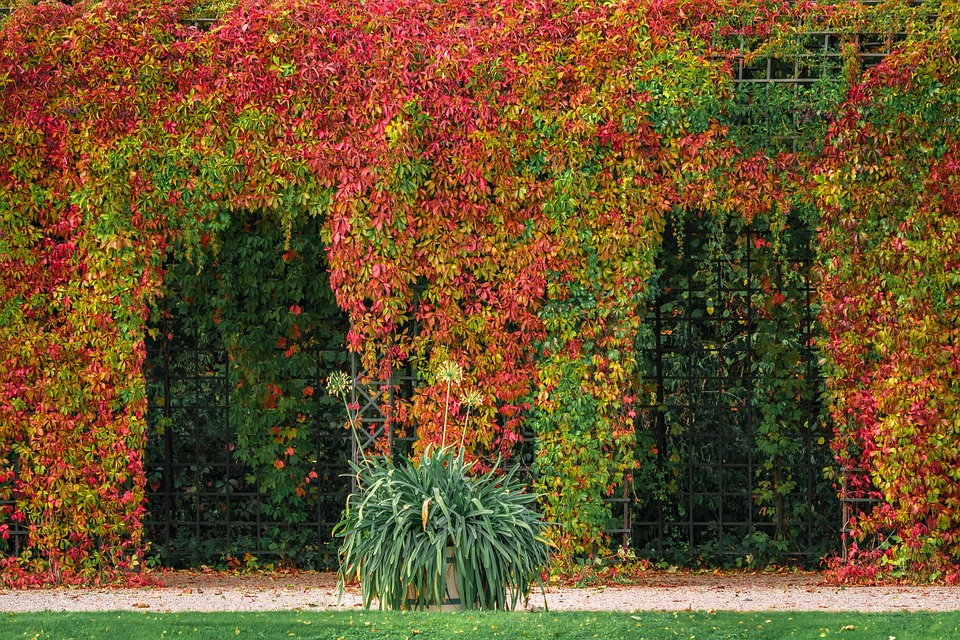 Je dřevěná pergola vhodná skutečně na každou zahradu?